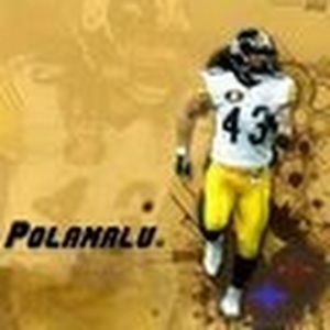 Meet your Posher, Zaim